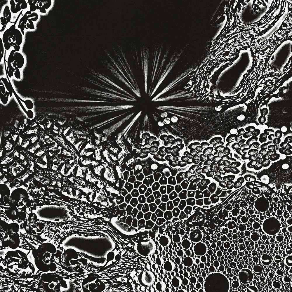 Unsounds Escándalo Vol. 1 VA front cover